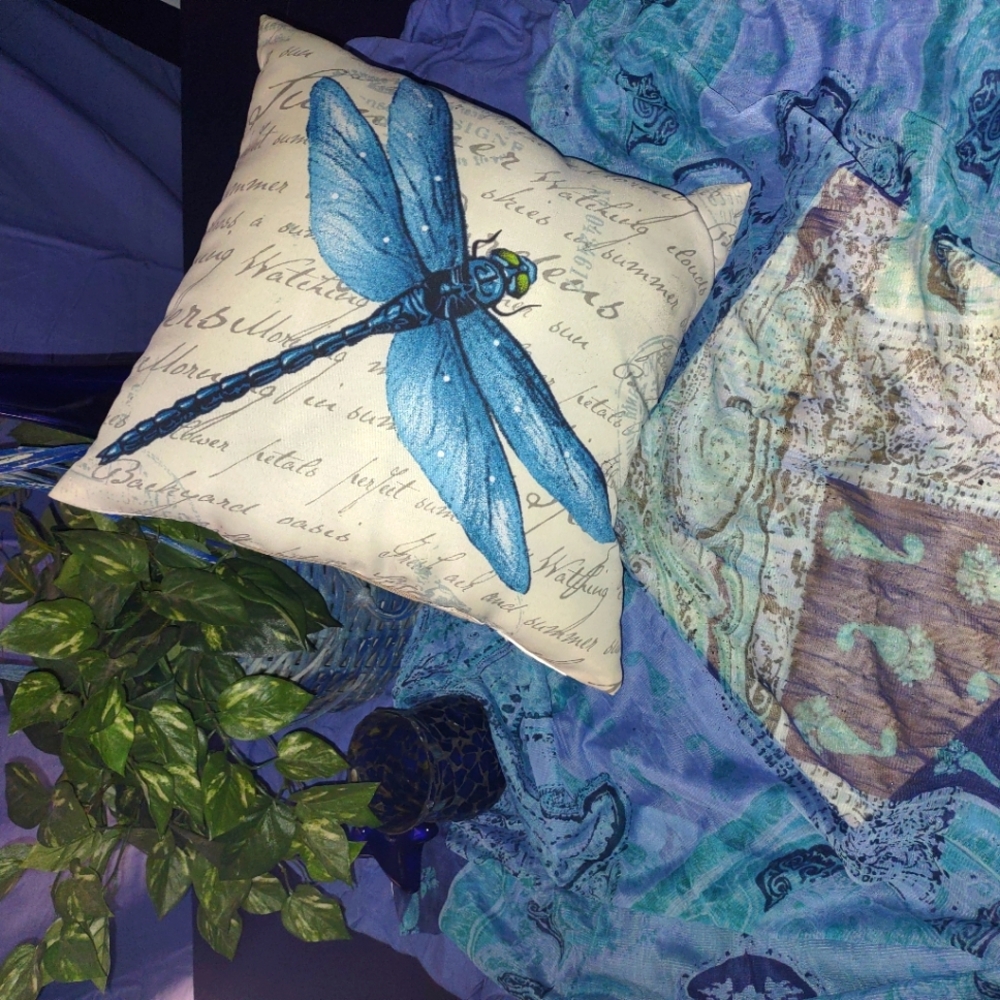 Meet your Posher, 1BlueDragonfly